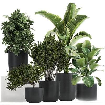 现代绿植盆景-11